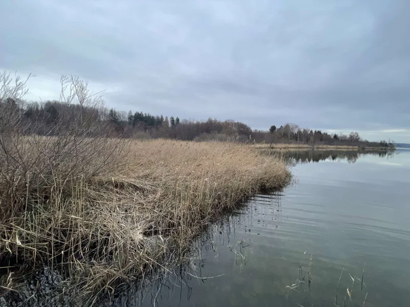  - Grundstück kaufen in Hechendorf - Rarität für Naturliebhaber! Grundstück mit ca. 14.500 m² mit direktem Zugang in den Pilsensee