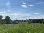 Umgebung Bergblick über die Wiesen