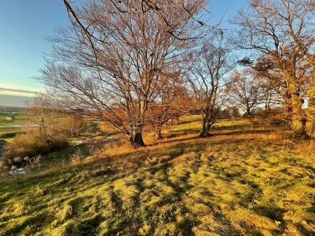  - Grundstück kaufen in Andechs - Andechs-Frieding - Naturparadies mit schönem Weitblick