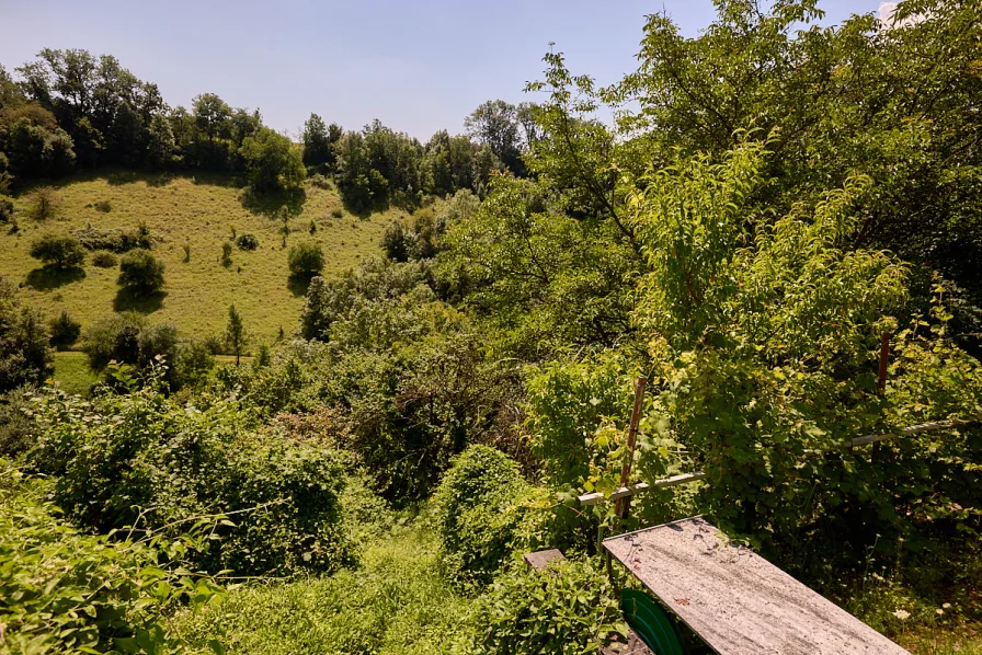 Aussicht von der Hütte