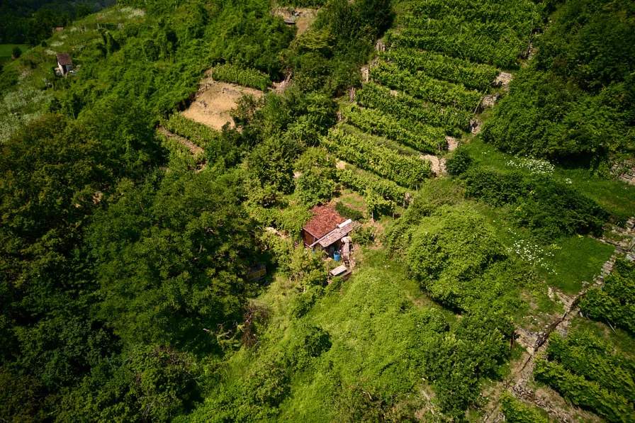 Hütte Wochenendgrundstück 1