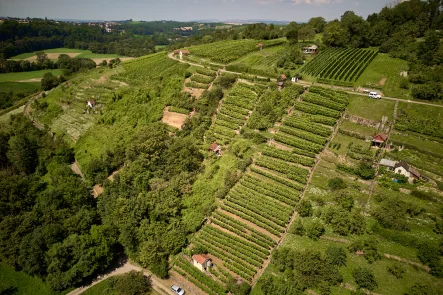 Wochenendgrundstück und Weinberg 1 - Grundstück kaufen in Kirchberg an der Murr - Ihr Eigenes Weinparadies und Wochenendgrundstück in Kirchberg a.d. Murr