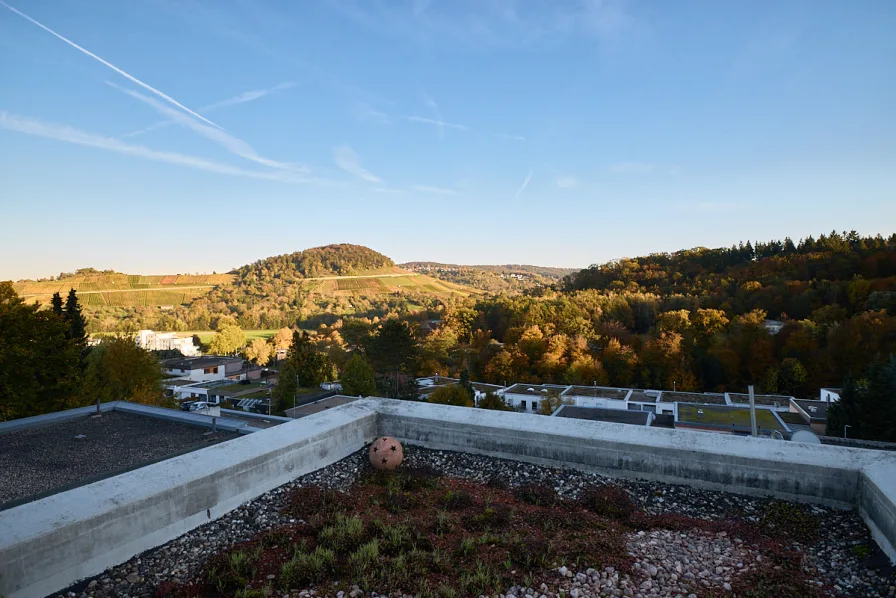 Ausblick mit Abendsonne