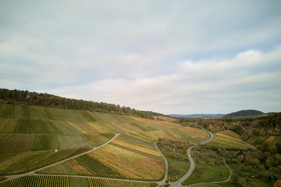 Korber Weinberge