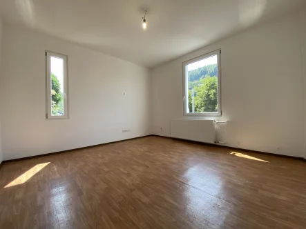 Wohnbereich - Wohnung kaufen in Bad Ems - Kapitalanleger aufgepasst:Single-Appartement-Bad Ems mit guter Rendite