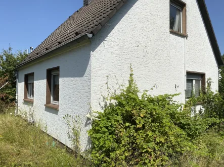 Seitenansicht 1 - Haus kaufen in Koblenz-Karthause - Einfamilienhaus in begehrter Höhenlage Koblenz-Karthause mit Sanierungsbedarf