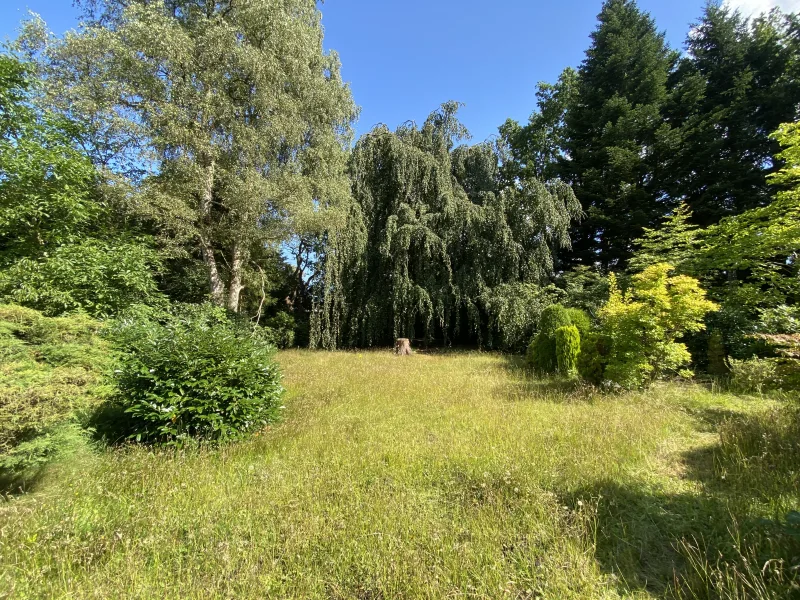 Blick zum hinteren Grundstücksteil - Grundstück kaufen in Ammersbek - Naturverbundenes Grundstück für DH-Hälfte mit bester Infrastruktur nahe Timmerhorner Teich