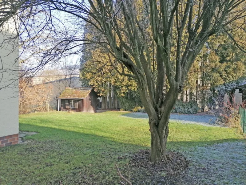 Blick in den großen Garten