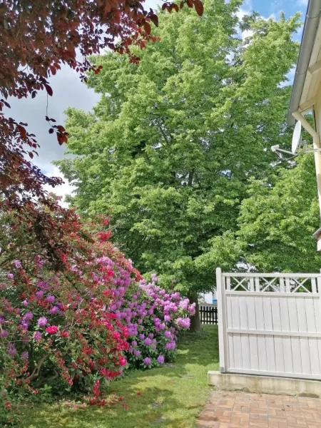 Vielleicht bald Ihre Terrasse im Sommer