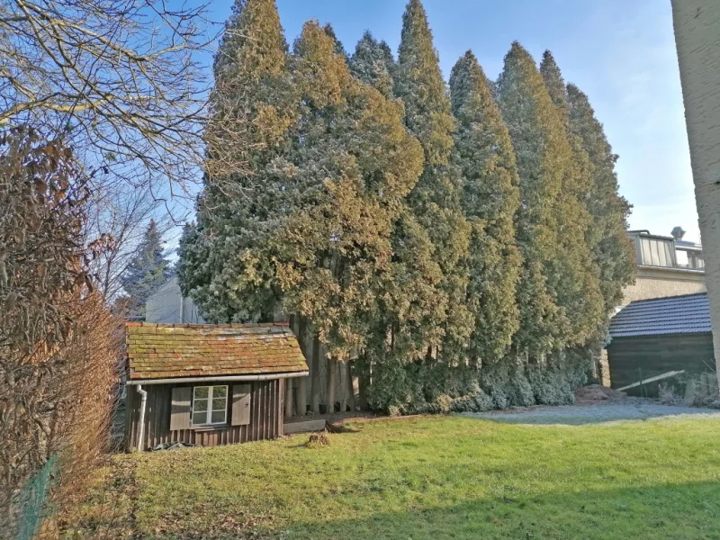 Seitlicher Gartenblick auf Holzhütte