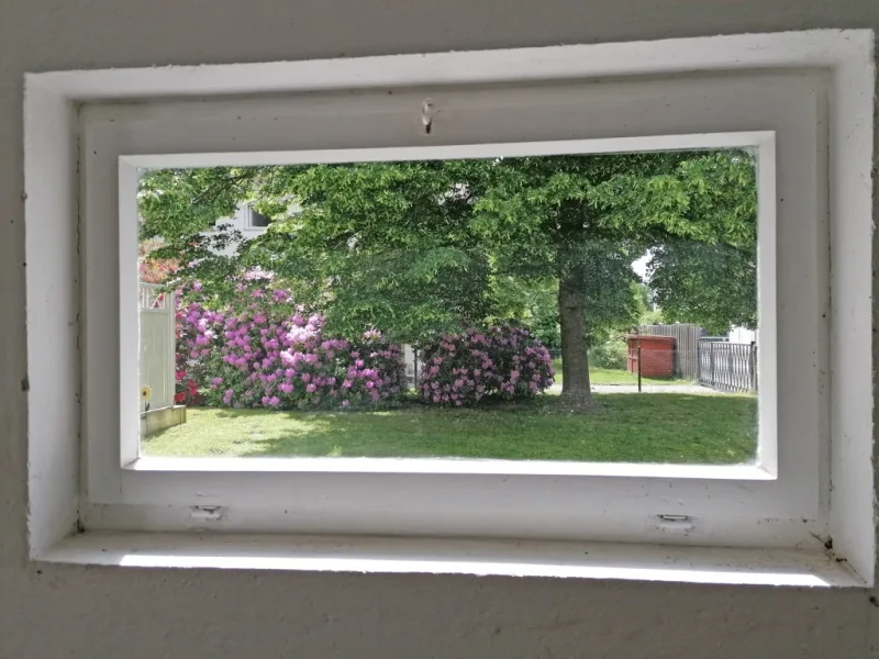 Garagenfenster mit Ausblick