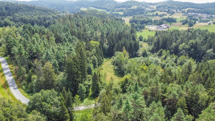 Blick auf das Grundstück 1 - Grundstück kaufen in Saldenburg - Grundstück / Ehemalige Sandgrube