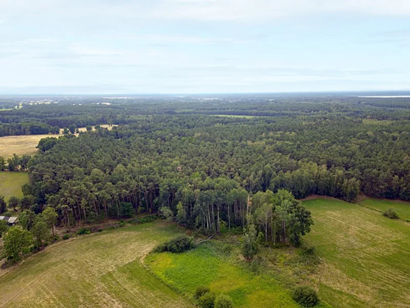  - Grundstück kaufen in Boxberg/OL - Nachverkauf: 2,3 ha Forstliegenschaft in der Oberlausitz - voll bestockt