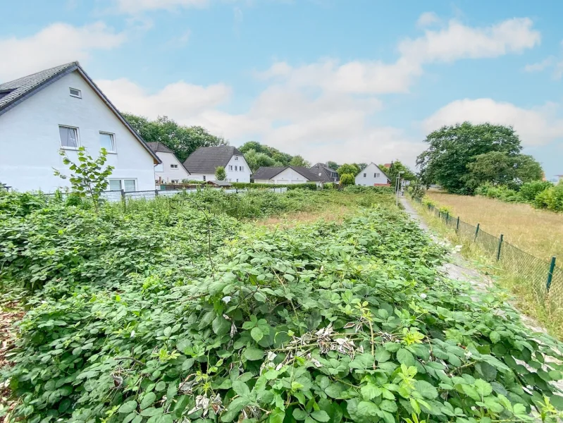 Blick auf das Grundstück