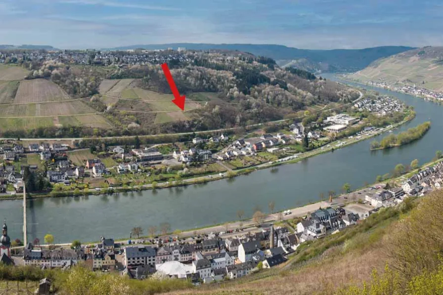 Luftbild 1 - Grundstück kaufen in Zell (Mosel) - Nachverkauf: Weinberggrundstück mit Panoramablick