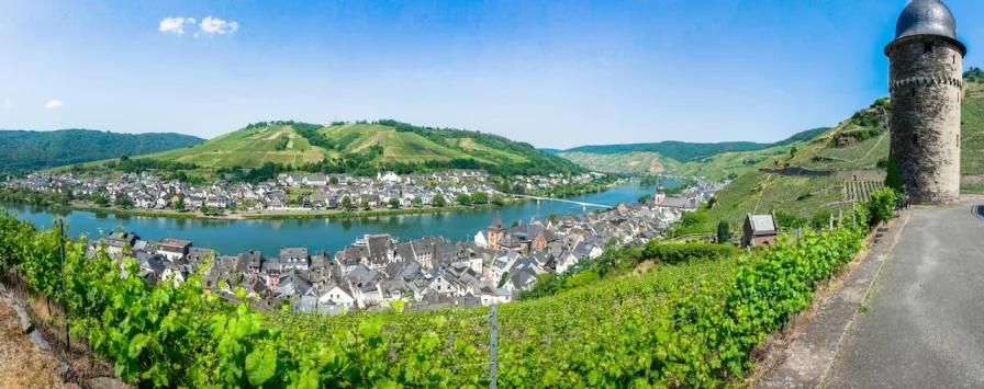 Umgebungsbild - Grundstück kaufen in Zell (Mosel) - Weinberggrundstück in Zell (Mosel)