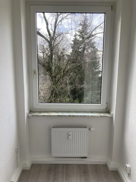 Ausblick Garten - Wohnung mieten in Duisburg - renovierte 3-Zimmer Wohnung in einem MFH gegenüber vom Bethesda Krankenhaus in Hochfeld