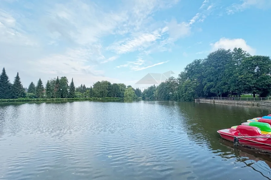 Pelzmühlenteich - Wohnung mieten in Chemnitz - ++ Erstbezug++ Moderne 2-Raum-Wohnung mit Balkon, Aufzug und TG-Stellplatz am Pelzmühlenteich