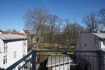 Balkonausblick - Wohnung mieten in Zwickau - Gemütliche 3-Raum-Wohnung mit Balkon