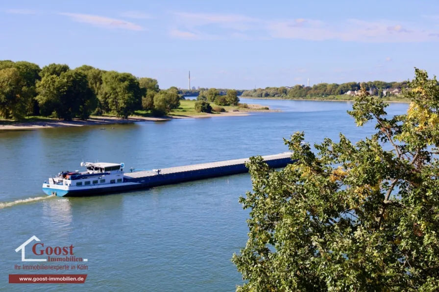 tolle Aussicht auf den Rhein