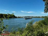 Aussicht Rheinpromenade