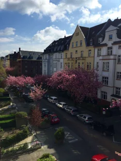 Ausblick Vorderhaus - Wohnung mieten in Düsseldorf - „Teilmöbliertes Wohnen mit Single-Küche in Düsseldorfs bester Lage nahe dem Rheinpark"