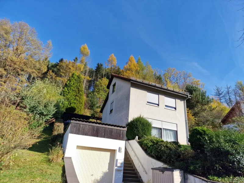 Treppe zum Haus - Haus kaufen in Heinersreuth - Modernes Einfamilienhaus in Split-Level-Bauweise am Waldrand in Altenplos