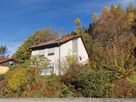 Ansicht von Südwest - Haus kaufen in Heinersreuth - Modernes Einfamilienhaus in Split-Level-Bauweise am Waldrand in Altenplos