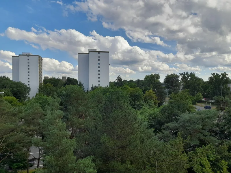 Ausblick - Wohnung kaufen in Nürnberg / Langwasser - Sofort verfügbar - 3 Zimmer Wohnung mit Balkon in Nürnberg-Langwasser