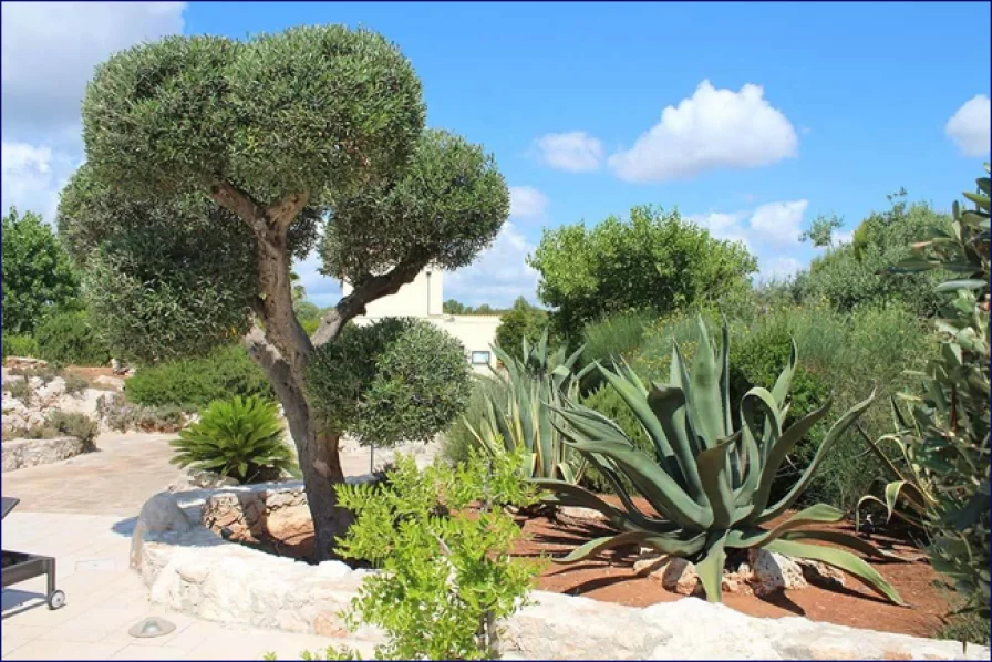 giardini-2.png - Haus kaufen in Lido Marini - ***Großes Haus zur Nutzung als B&B mit Schwimmbädern und Gartenanlage in Apulia Salento Masseria***