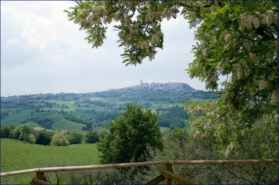 panorama-todi.png