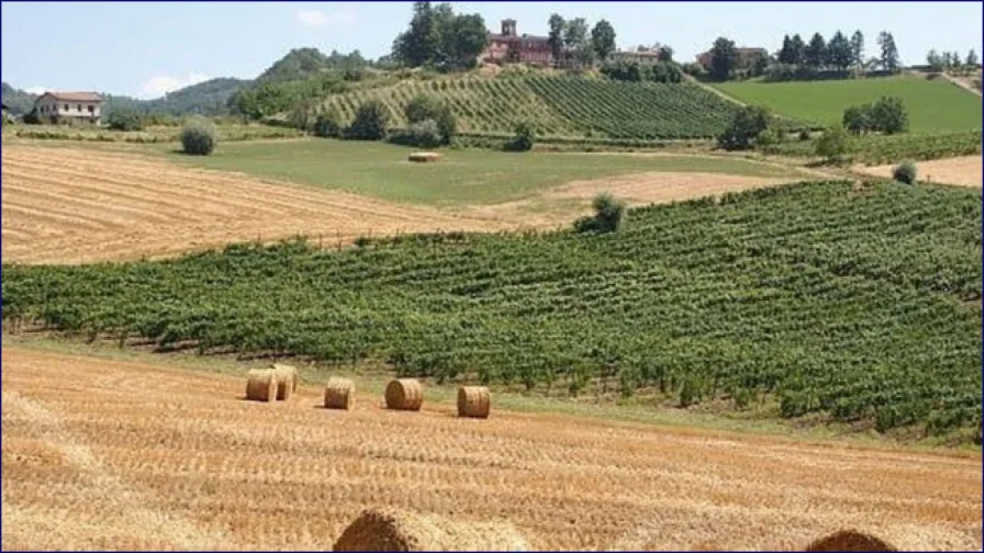 17938058_1.png - Haus kaufen in Montesegale - ***Großes Landhaus auf 43 Hektar Landfläche in der Lombardei, sucht neuen Eigentümer***