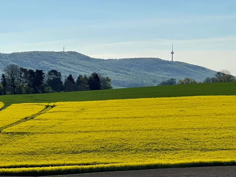 Wunderschöner Deister