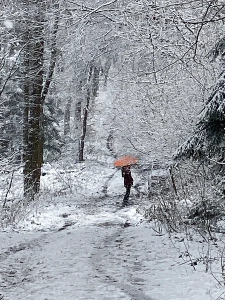 Winter im Deister