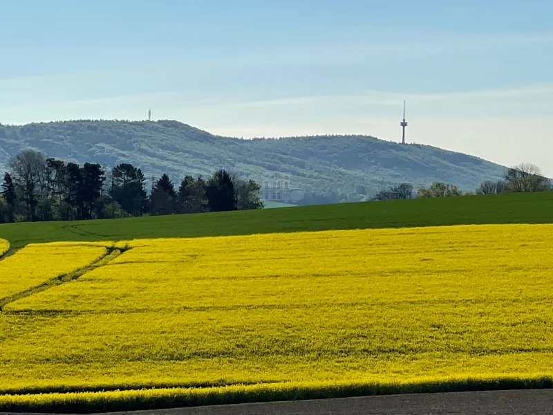 Wunderschöner Deister