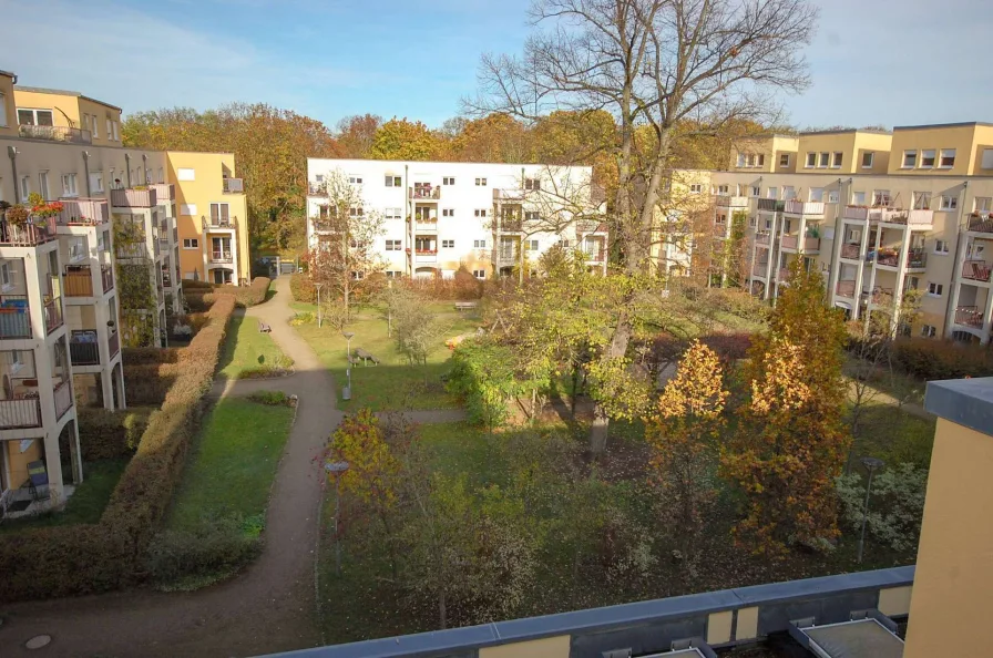 Blick in den begrünten Innenhof