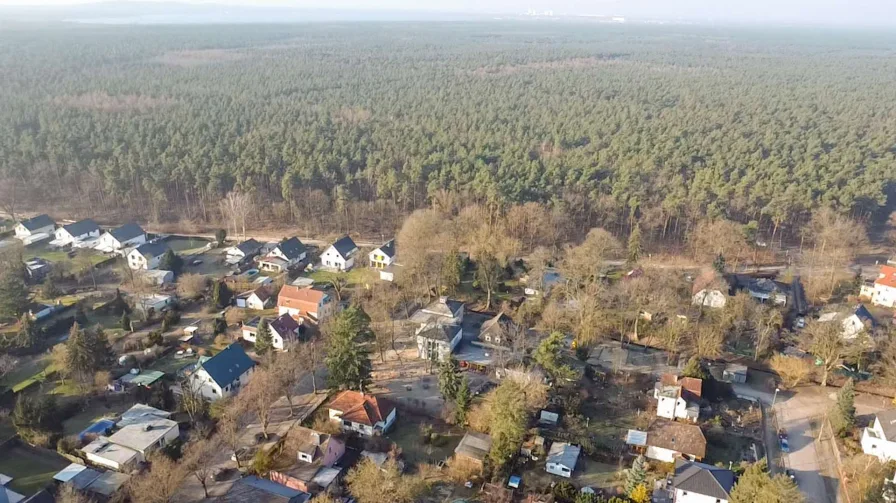 Blick Richtung Müggelsee