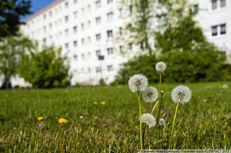 Objektansicht - Wohnung mieten in Halle (Saale) - Hier wird für Sie saniert! Ab März 2025