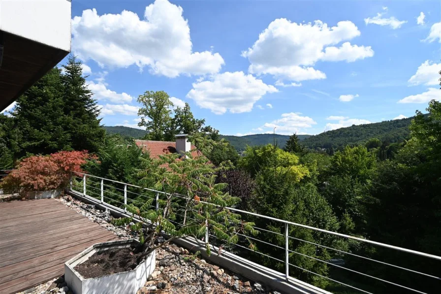 Terrassenausblick