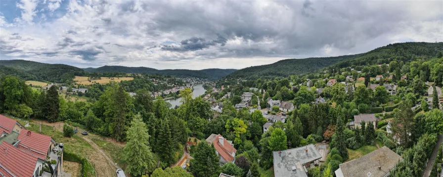 Neckarblick - Haus kaufen in Heidelberg - Sofort frei:außergewöhnliches Einfamilienhaus in Hanglage mit traumhaftem Ausblick