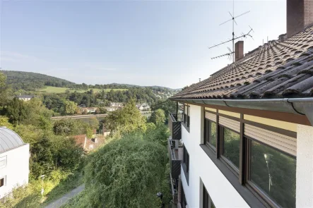 Ausblick - Wohnung kaufen in Heidelberg - Sofort beziehbare 2-Zimmer-Wohnung mit schönem Blick auf Neckar und Stift Neuburg