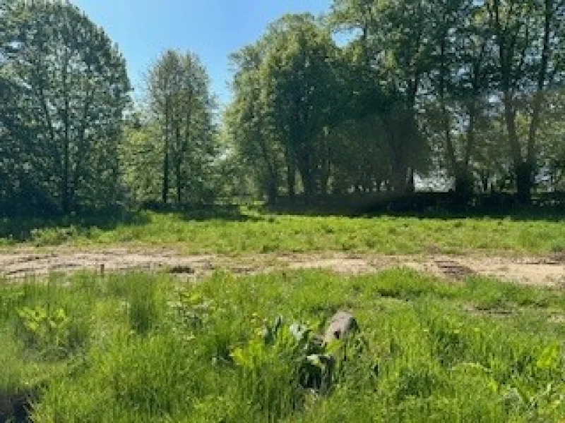 Titelbild - Grundstück kaufen in Süsel - idyllisch gelegenes Baugrundstück inkl. Erschließungskosten und ohne Bauträgerbindung