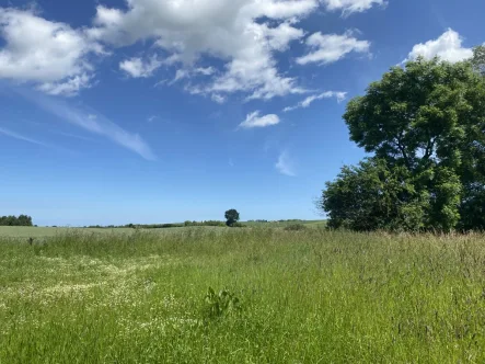 Feldrandlage - Grundstück kaufen in Damshagen / Hof Reppenhagen - Großes Grundstück in ruhiger Lage