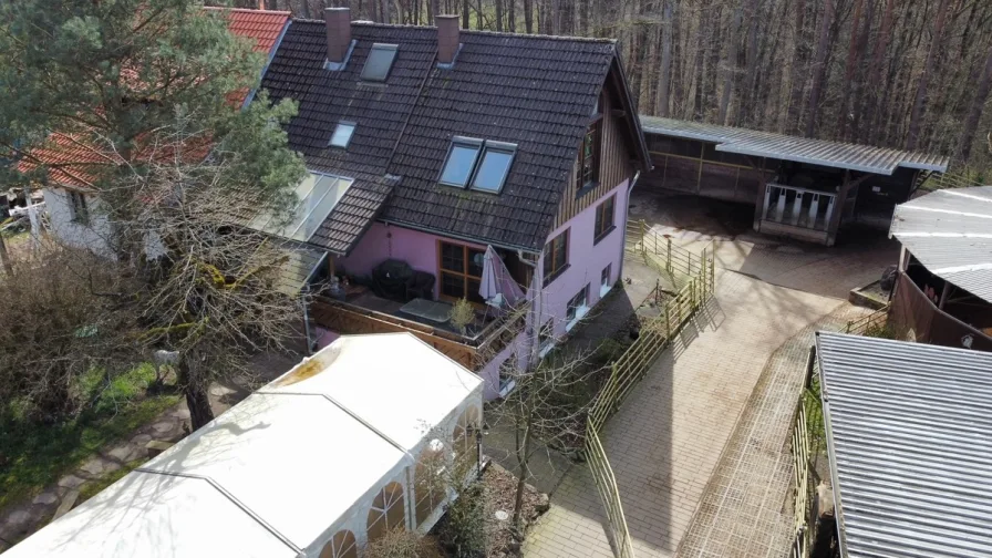 Ansicht - Haus kaufen in St. Ingbert Hassel - Reitanlage mit Stall und schönen Landhaus in St. Ingbert-Hassel zu verkaufen.