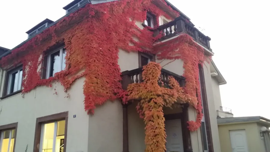 Façade automne