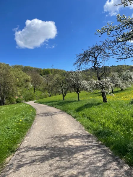 Impressionen Schorndorf