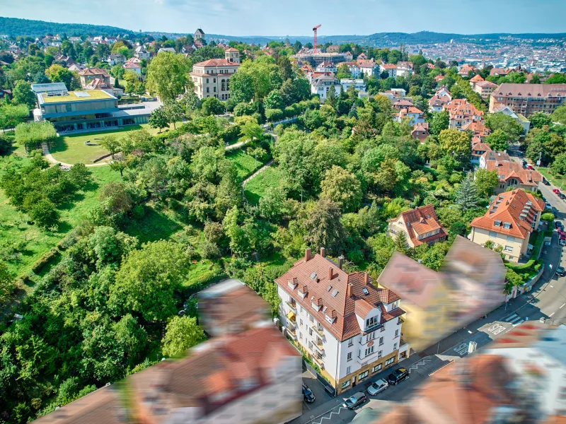 Am Fuße der Gänsheide