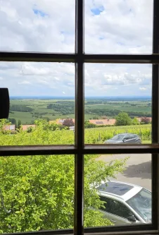 Herrlicher Ausblick - Haus kaufen in Gleiszellen-Gleishorbach - HERRLICHES EXTRAVAGANTES WOHNEN! 360° Rundgang!