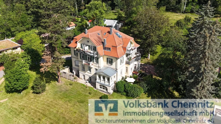 seitliche Ansicht - Wohnung kaufen in Zwickau - Einmalige Wohnung in der Villa Wiede