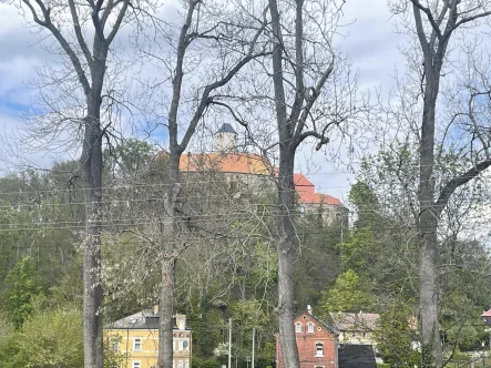 Ausblick zur Burg Schönfels - Wohnung mieten in Lichtentanne - Wohnen im schönen Schönfels